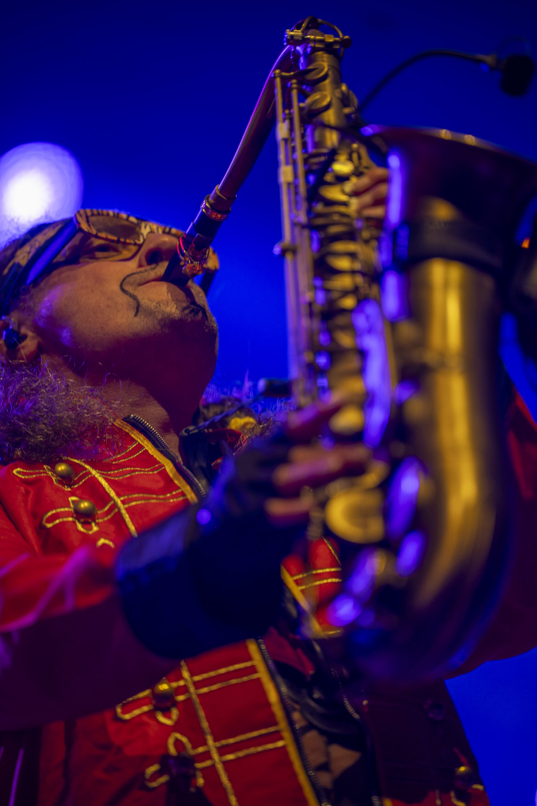 photographe concert haut de france lille artiste secours populaire marcel et son orchestre sur scene