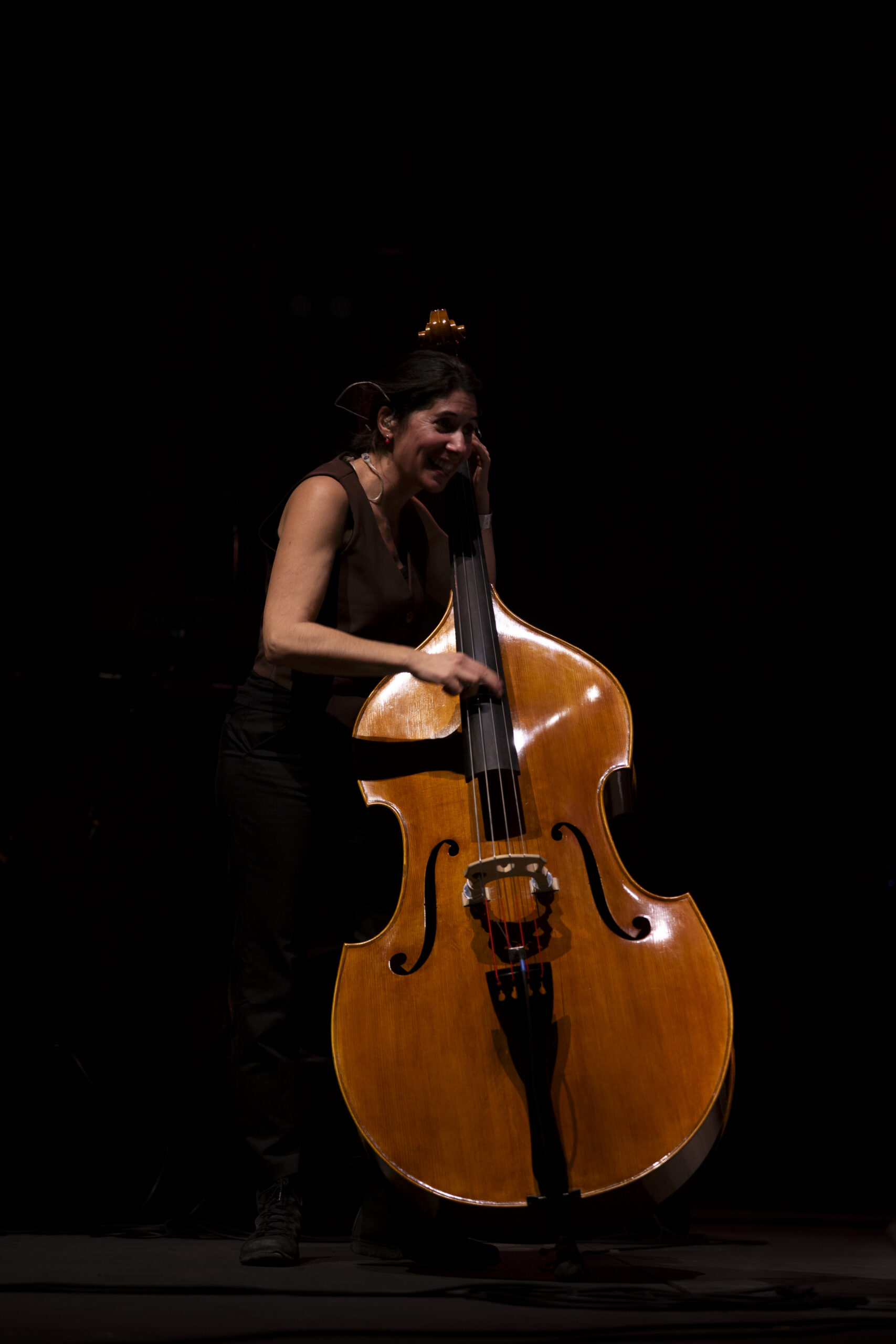 photographe concert haut de france lille artiste secours populaire ogres de barback sur scene